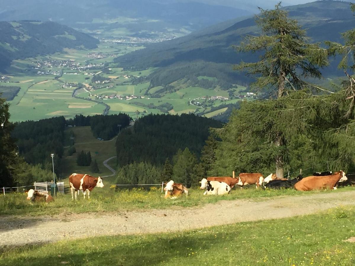Landhaus Lungau ザンクト・ミヒャエル・イム・ルンガウ エクステリア 写真